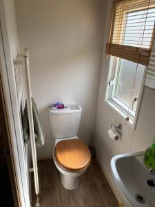a bathroom with a toilet with a wooden seat at Squirrel Lodge (Unit 7) in Carlisle