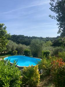 una piscina azul en un jardín con árboles en Casa Verde Country House en Montescudaio