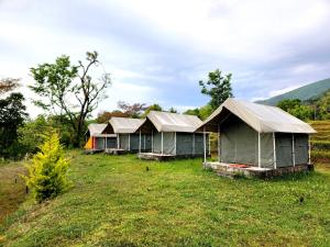 une rangée de cabanes vertes dans un champ dans l'établissement Hipostel Bir - Stay and Cafe, à Bir