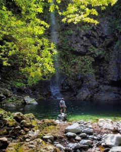 un homme debout sur un rocher devant une cascade dans l'établissement Nature Retreat - Laurel Forest, à Seixal