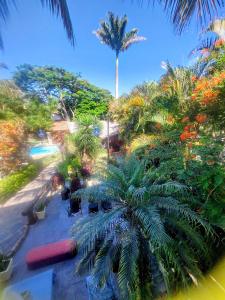 uma vista sobre um jardim com palmeiras em 3 Palmeiras Guest Lounge em Miguel Pereira