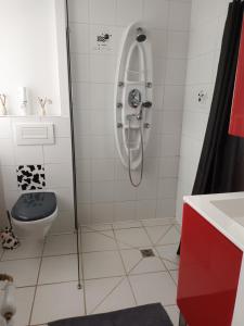 a bathroom with a shower with a toilet and a sink at Hameau de loches in Neuvic