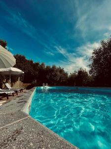 a large swimming pool with blue water at Casa Verde Country House in Montescudaio