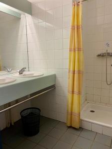 a bathroom with a sink and a shower curtain at Ti menez Are in Brasparts