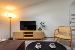 a living room with a tv and a chair at St Florian Apartments in Kraków