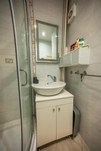 een badkamer met een wastafel en een douche bij 3-BR Central Residence in Sofia