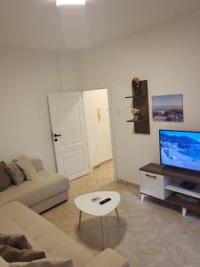 TV a/nebo společenská místnost v ubytování Apartman Vučko