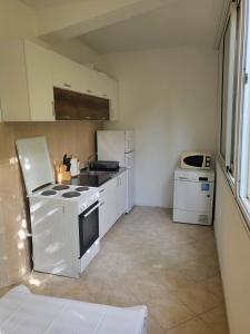 Kuchyň nebo kuchyňský kout v ubytování Apartman Vučko