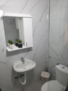 Koupelna v ubytování Apartman Vučko