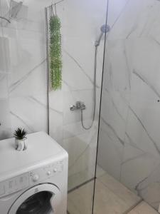 ein Bad mit einer Waschmaschine und einer Dusche in der Unterkunft Apartman Vučko in Rafailovici