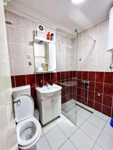 y baño con aseo, lavabo y ducha. en Apartman Jovana en Sremska Mitrovica