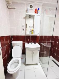 a bathroom with a toilet and a sink at Apartman Jovana in Sremska Mitrovica