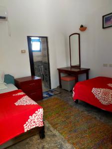 - une chambre avec 2 lits, un miroir et un bureau dans l'établissement Blue Bus Camp Resort, à Nuweiba