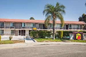 un edificio con una palmera delante de él en Super 8 by Wyndham Redlands/San Bernardino, en Redlands
