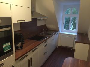 een keuken met witte kasten, een wastafel en een raam bij Elbsandstein Apartments in Meißen