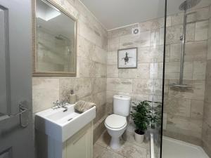 a bathroom with a toilet and a sink and a shower at 2 Bed in Rhosneigr 81515 in Caeʼr-geiliog