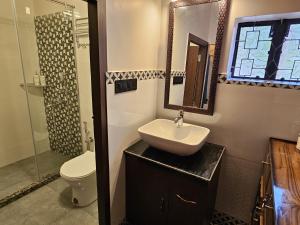 a bathroom with a sink and a toilet and a mirror at SHANTINIKETAN RETREAT, BOLPUR in Shānti Niketan