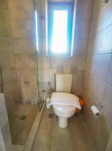 a bathroom with a toilet and a shower at Aeriko Apartment in Paros in Dhragoulás