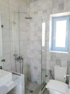 a bathroom with a shower and a toilet and a sink at Aeriko Apartment in Paros in Dhragoulás