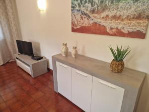 two cats sitting on a counter in a room with a tv at T2 Alvor Terrace in Alvor