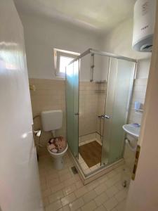 een badkamer met een douche, een toilet en een wastafel bij Fig City Apartment in Mostar