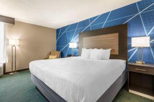 Postel nebo postele na pokoji v ubytování Comfort Inn Dallas North Love Field Airport