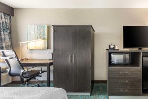 TV a/nebo společenská místnost v ubytování Comfort Inn Dallas North Love Field Airport