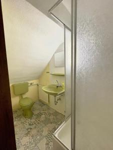 małą łazienkę z toaletą i umywalką w obiekcie Kimbab Restaurant und Pension w mieście Ruhla