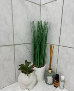 two white vases with plants sitting on a counter at Apartman SunShine in Trebinje