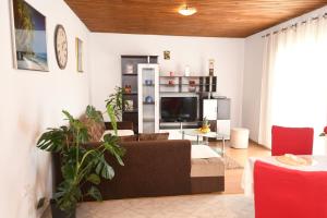 ein Wohnzimmer mit einem Sofa und einem TV in der Unterkunft Holliday House Marko in Hrvace