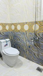 uma casa de banho com um WC e um chuveiro em Rahat villas Apartment zing em Islamabad
