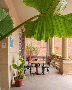 un patio con mesa, sillas y una planta en Verdi 254 en Barcelona