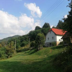 une maison sur le côté d'une colline herbeuse dans l'établissement Simina kuća, à Bajina Bašta