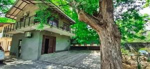 ein Haus mit einem Baum davor in der Unterkunft Sriyantha Rest in Kataragama