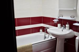 La salle de bains est pourvue d'un lavabo, d'une baignoire et de toilettes. dans l'établissement Enjoy Apartments - Central Villa Retreat, à Cluj-Napoca 16 autres photos
