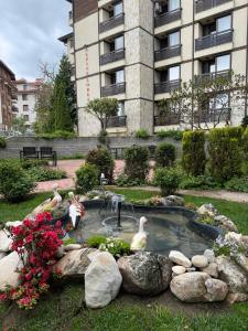 班斯科的住宿－Alpine Lodge Bansko Apartments，一座花园,在一座建筑前的池塘里放鸭子