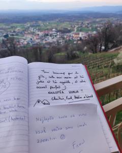 un livre ouvert avec écriture manuelle sur les pages dans l'établissement Zidanica-Vineyard Cottage Jakše, à Semič