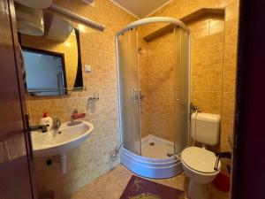 e bagno con doccia, servizi igienici e lavandino. di Villas by Expert Vrelo Bosne a Vruci