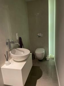 łazienka z umywalką i toaletą w obiekcie Apartament nad rzeką z sauną w mieście Tschicherzig Kreis Züllichau