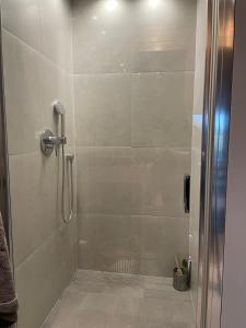 W łazience znajduje się prysznic ze szklanymi drzwiami. w obiekcie Apartament nad rzeką z sauną w mieście Tschicherzig Kreis Züllichau