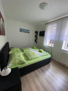 um quarto com uma cama verde e uma janela em Apartmán Verča Riviera Lipno 510 em Lipno nad Vltavou