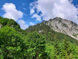 a mountain range with trees in the foreground at Berghof Ferienhaus in Schröcken