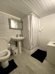 y baño con aseo y lavamanos. en Appartement spacieux proche de paris, en Carrières-sur-Seine