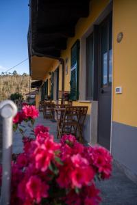 un mazzo di fiori rosa di fronte a un edificio di Il Giardino dei Pavoni a Soviore