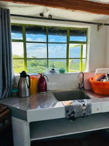a kitchen counter with a sink and a window at Tree house in Ngong