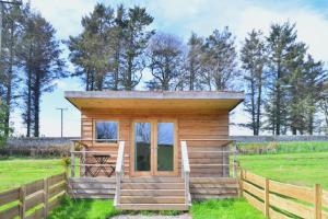 a tiny house in a field with a fence at Anniston Mill Cabin 1 in Arbroath
