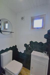een badkamer met een toilet en een spiegel aan de muur bij Anniston Mill Cabin 1 in Arbroath