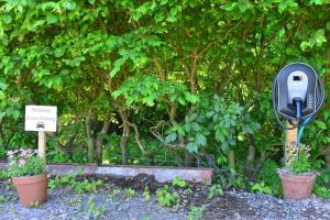 a mailbox in front of a tree with plants at Anniston Mill Cabin 1 in Arbroath