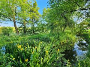 a pond with flowers and trees and a river at Anniston Mill Cabin 1 in Arbroath