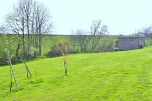 a group of trees in a field with a shed at Anniston Mill Cabin 1 in Arbroath
